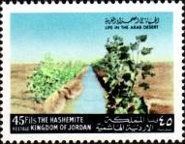Irrigation canal