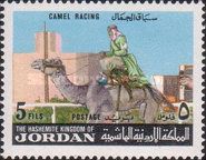 Camel racing.