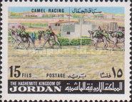 Camel racing.