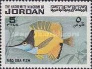 Longnose Butterflyfish (Forcipiger longirostris)