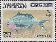 Red Sea Fish (Gerres oyena)