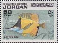 Longnose Butterflyfish (Forcipiger longirostris)