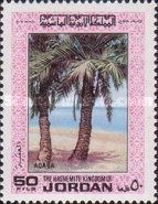 Palms, Aqaba