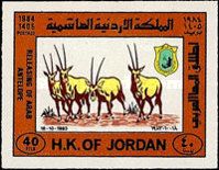 Arabian Oryx (Oryx leucoryx)