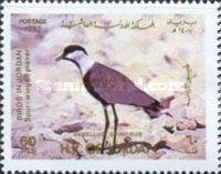 Spur-winged Lapwing (Hoplopterus spinosus)