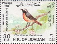 Common Redstart (Phoenicurus phoenicurus)