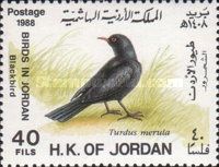 Common Blackbird (Turdus merula)