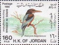White-throated Kingfisher (Halcyon smyrnensis)