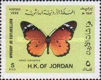 African Monarch (Danaus chrysippus)