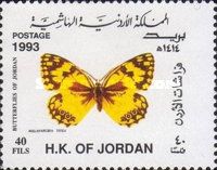 Levantine Marbled White (Melanargia titea)