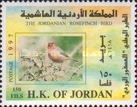 Sinai Rosefinch (Carpodacus synoicus)