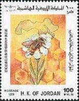 Bee on Flower