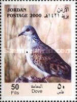 European Turtle Dove (Streptopelia turtur)