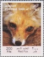 Red Fox (Vulpes vulpes)