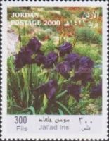 Iris