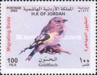 European Goldfinch (Carduelis carduelis)