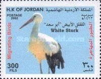 White Stork (Ciconia ciconia)