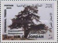 Cupressus sempervirens.