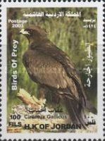 Short-toed Snake Eagle (Circaetus gallicus)