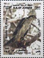 Eurasian Sparrowhawk (Accipiter nisus)