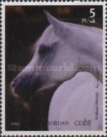 Arabian Horses
