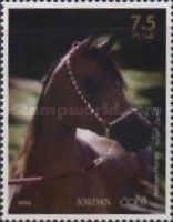 Arabian Horses