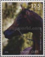 Arabian Horses
