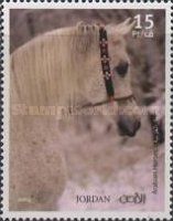 Arabian Horses