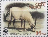 Arabian Oryx (Oryx leucoryx)