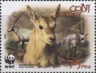Arabian Oryx (Oryx leucoryx)