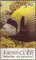 Emperor Angelfish (Pomacanthus imperator)