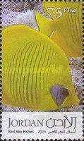 Hooded Butterflyfish (Chaetodon larvatus)