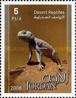 Whiptail Lizard (Cnemidophorus sp.)