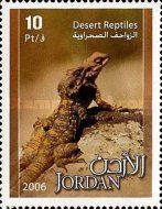 Lizard