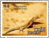 Lizard