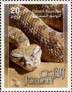 Horned Desert Viper (Cerastes cerastes)