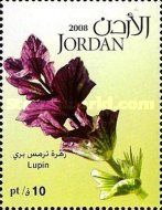 Lupin