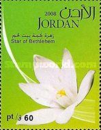 Star of Bethlehem