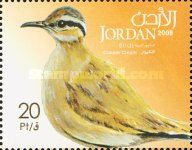 Courser Cream (Cursorius cursor)