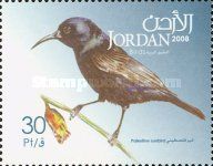 Palestine Sunbird (Nectarinia osea)