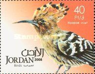 Eurasian Hoopoe (Upupa epops)