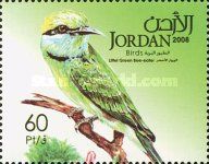 Little Green Bee-eater (Merops orientalis)