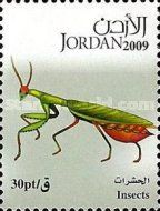 Mantis (Mantis sp.)