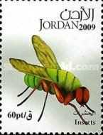 Fly