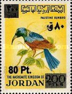 Palestine Sunbird (Nectarinia osea)