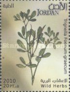 Wild Herbs