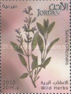 Wild Herbs