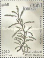 Wild Herbs