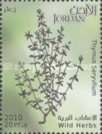 Wild Herbs