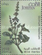 Wild Herbs